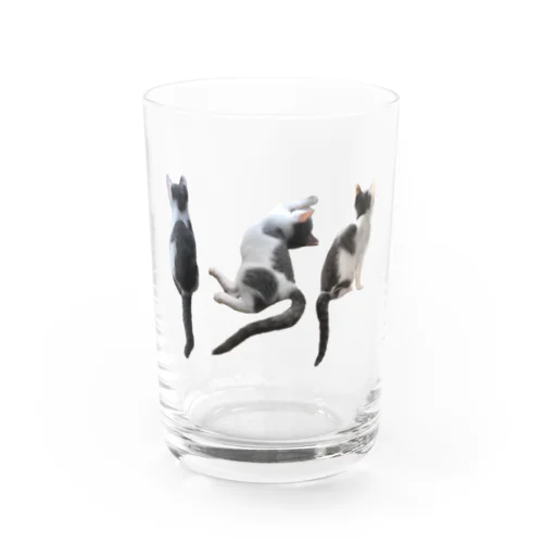 モノクロこねこ三連 Water Glass