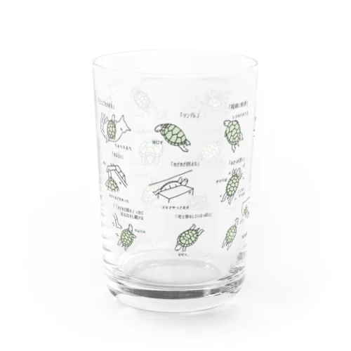 かめあるある Water Glass