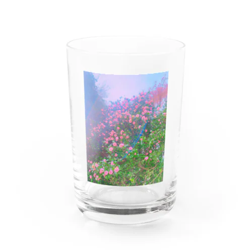 さくらんぼの風 Water Glass