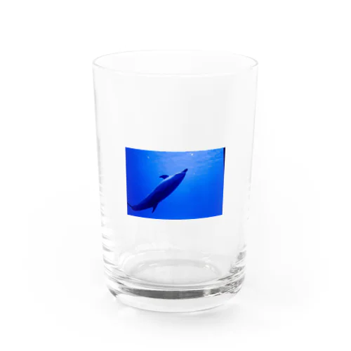 気持ちよく泳ぐイルカ Water Glass