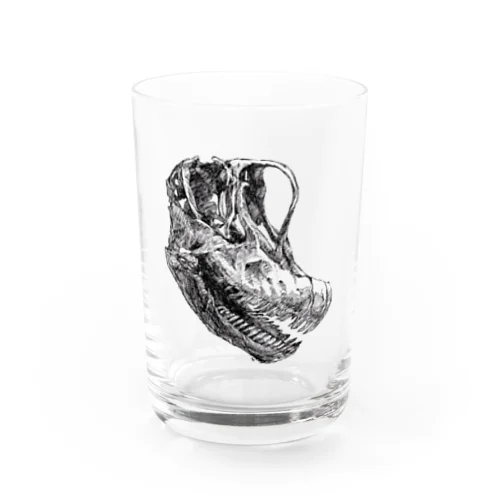 ジラファティタンの頭のお骨 Water Glass