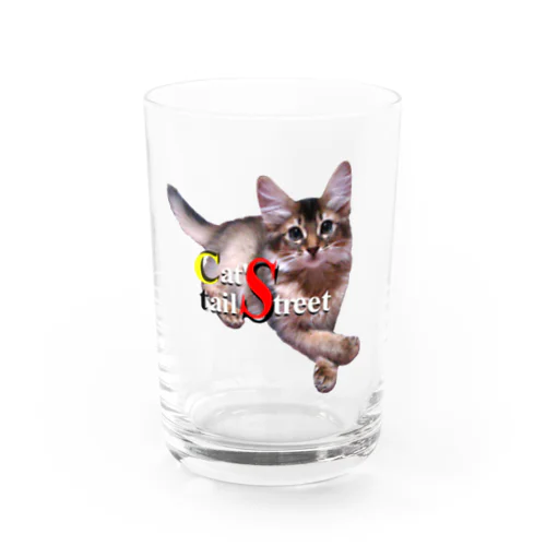 Cat's tail-street ロゴ Water Glass