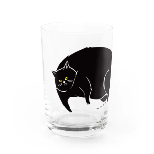 ふてぶてしいクロねこ Water Glass