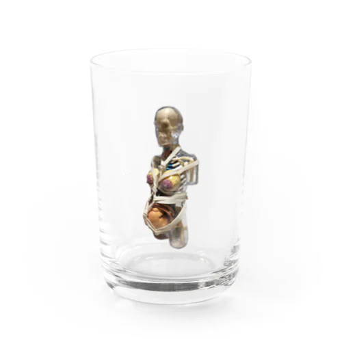 妊婦模型 Water Glass