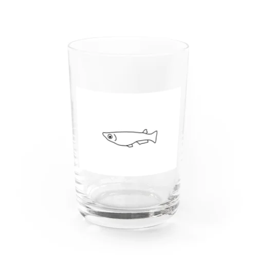 めだかちゃん Water Glass
