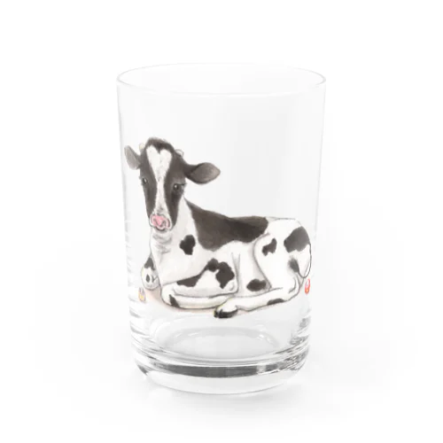 牛　とだるまさん Water Glass