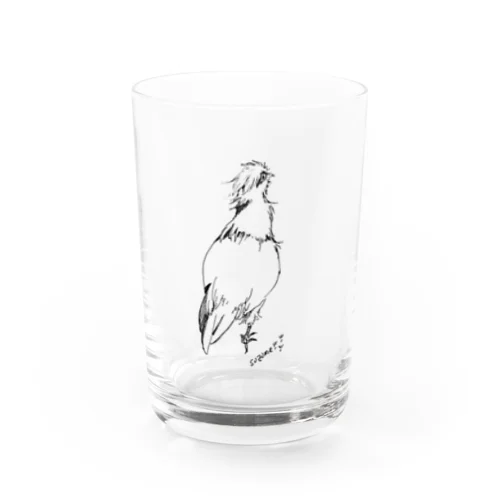 walking烏骨鶏 Water Glass