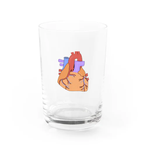 心臓ドクドク Water Glass