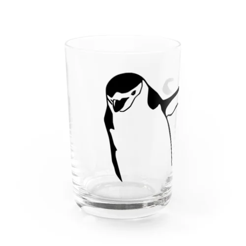 片翼を広げたヒゲペンギン Water Glass