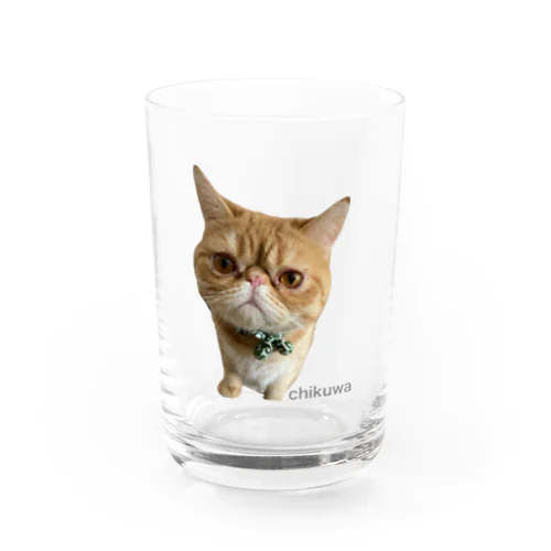 世界一のちくわ Water Glass