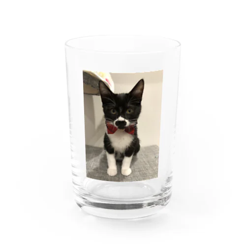 おにぎり猫のハン Water Glass