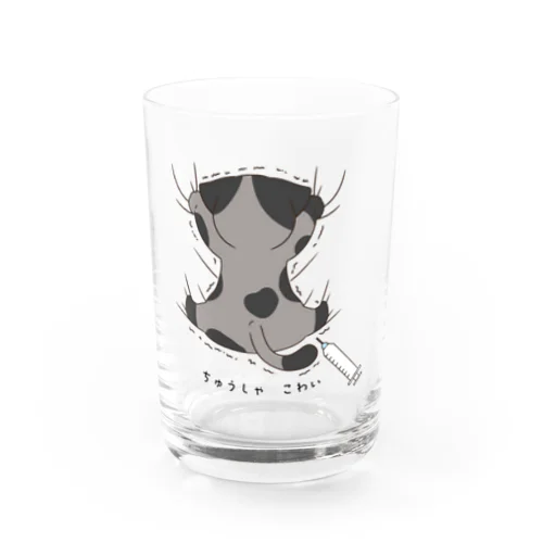 注射が怖くてしがみつく猫 Water Glass