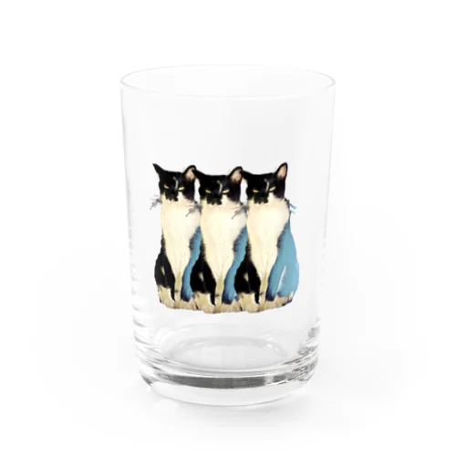 目つきのわるい黒白猫 グラス