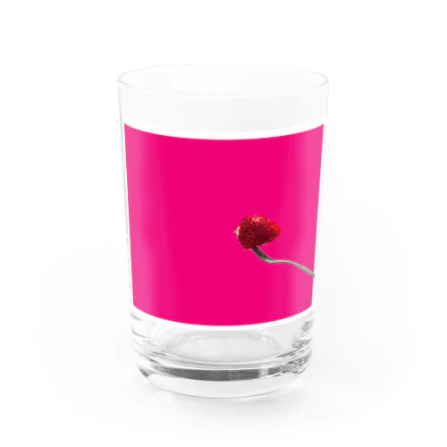 strawberry  Water Glass