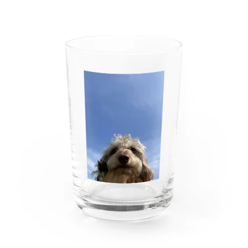 青空犬 Water Glass