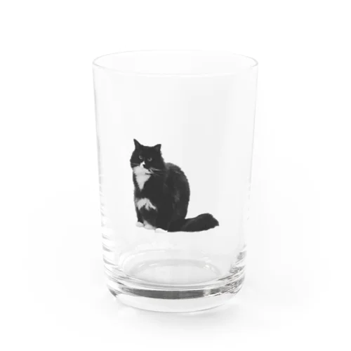 変な座り方にゃんたろう Water Glass