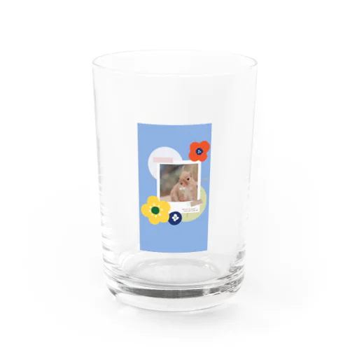 🌸SAKRA yummy🐿 Water Glass