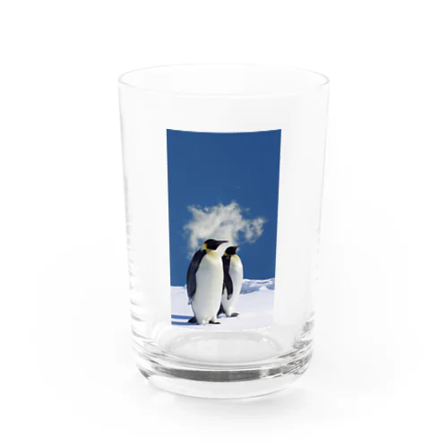 ペンちゃんグッズ Water Glass