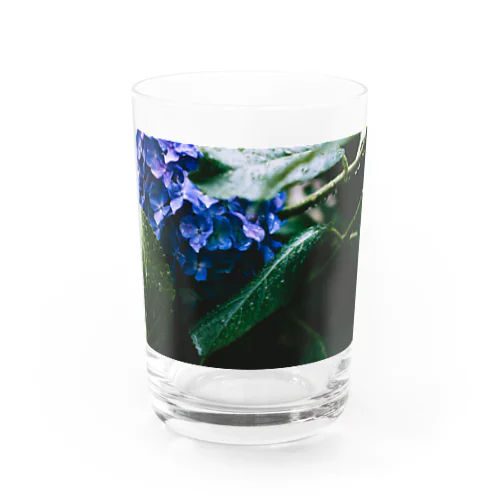 紫陽花 Water Glass