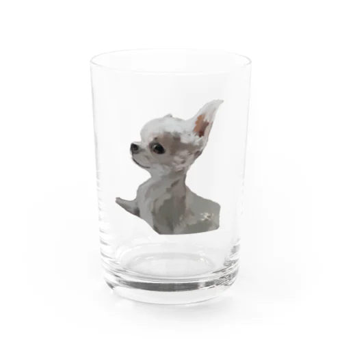 チワワの肖像 Water Glass