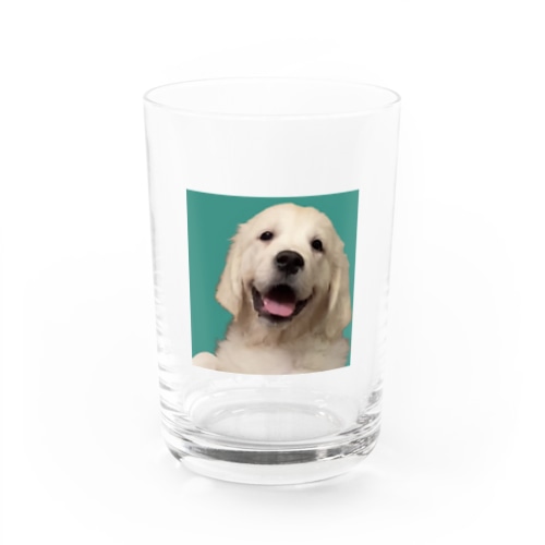 犬 ゴールデンレトリバー にっこり Water Glass