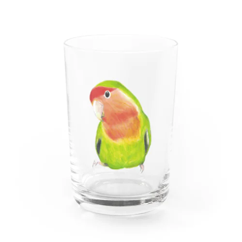 [森図鑑]コザクラインコ ノーマル Water Glass