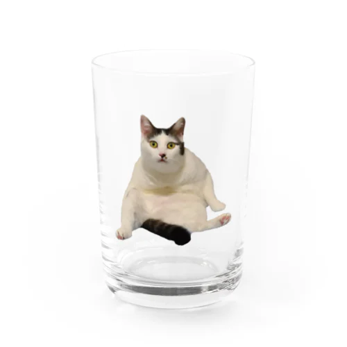 ダイカットスコ座りせんたゃ Water Glass