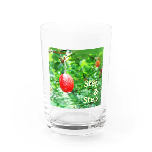 1'-Step & Step Water Glass