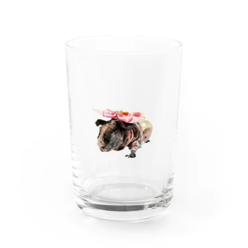 スキニーギニアピッグのエンジェル🐮 Water Glass