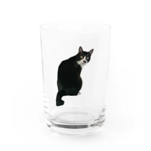 振り返りキヨ猫チャン Water Glass