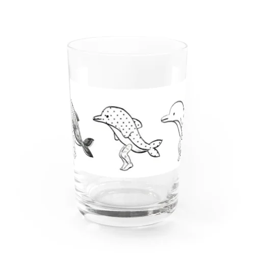 イルカの遠足 Water Glass