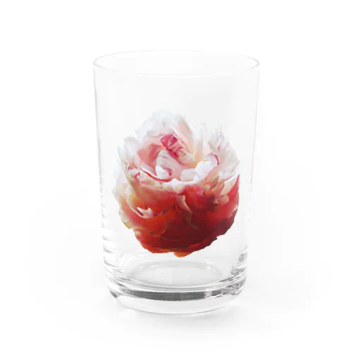 牡丹 Water Glass