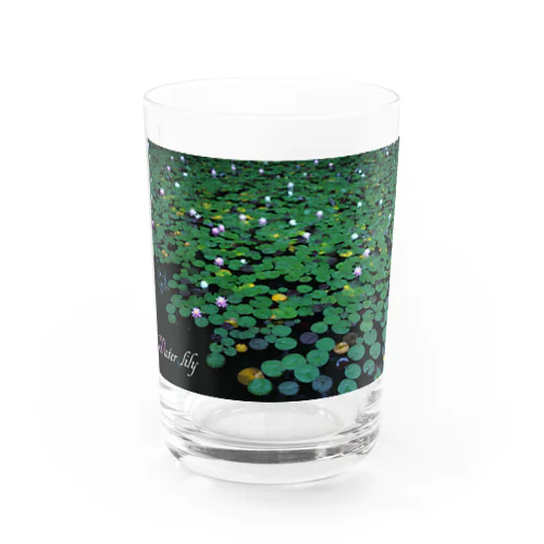 睡蓮 Water Glass