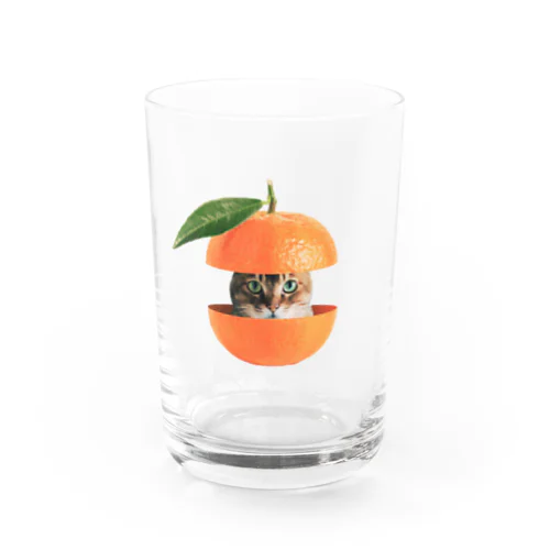 mikanchan #1 Water Glass
