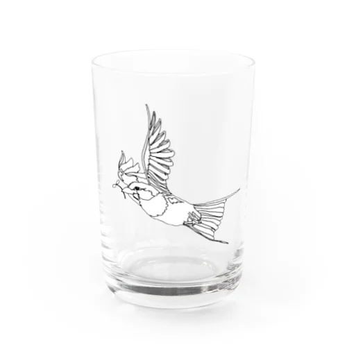 ブッポウソウさん Water Glass