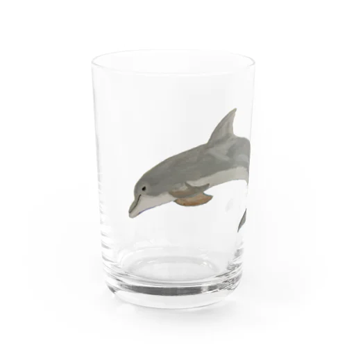 💕バンドウイルカですヨ🐬 Water Glass