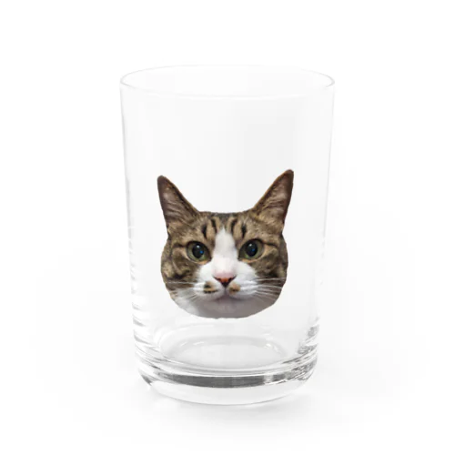 らんちゃん Water Glass