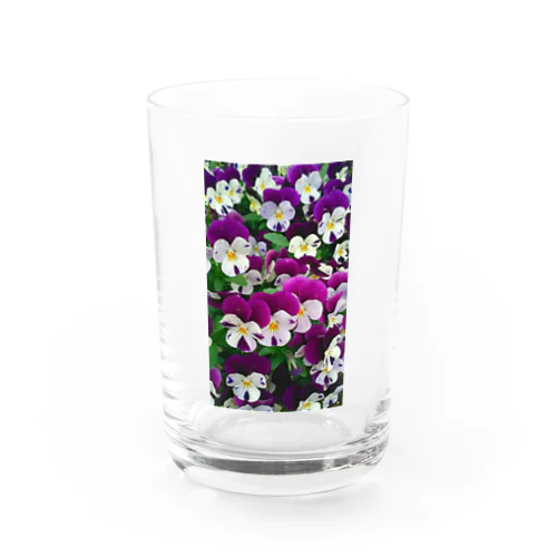 Pansy Water Glass