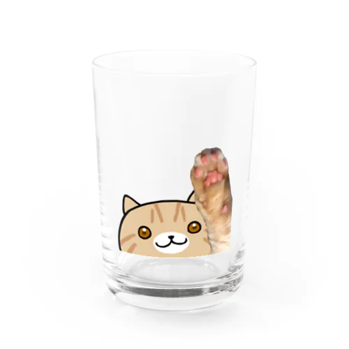 はぐれ肉球 Water Glass