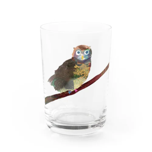 フクロウさん Water Glass