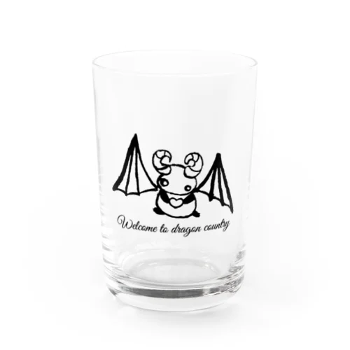 Welcome to dragon country Water Glass
