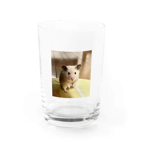 ハムちゃん Water Glass