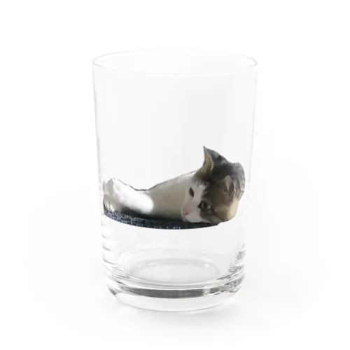 じゃれねこちゃん Water Glass