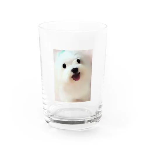 銀ちゃん Water Glass