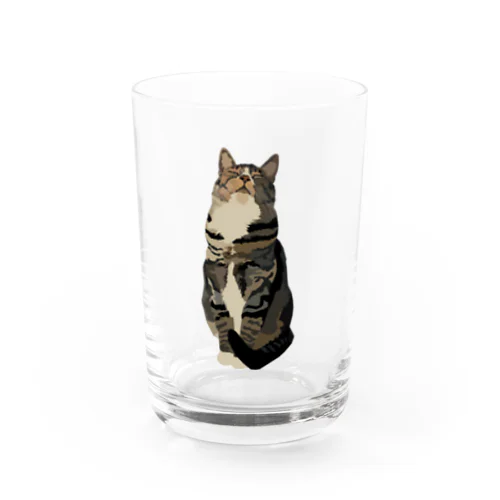 Tabby Cat Water Glass