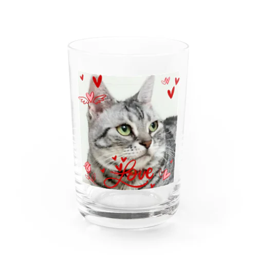 💖ラブリーにゃんこ キュンな猫 グラス