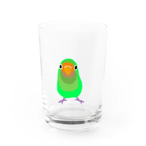 ヤエザクラインコのメロン君 Water Glass