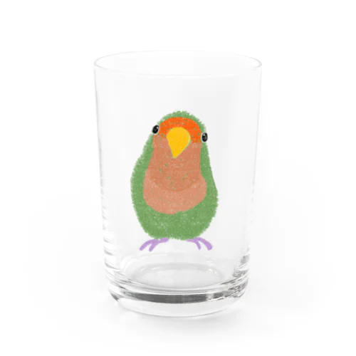 コザクラインコのスイカ君 Water Glass