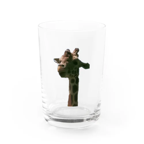 きりちゃん Water Glass