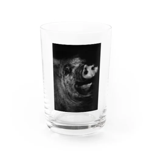 scoffing pig!_01 Water Glass